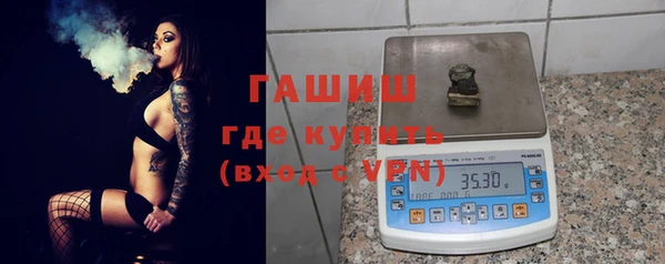сатива Галич