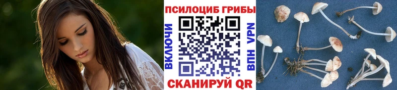 цены Кизляр Галлюциногенные грибы Magic Shrooms